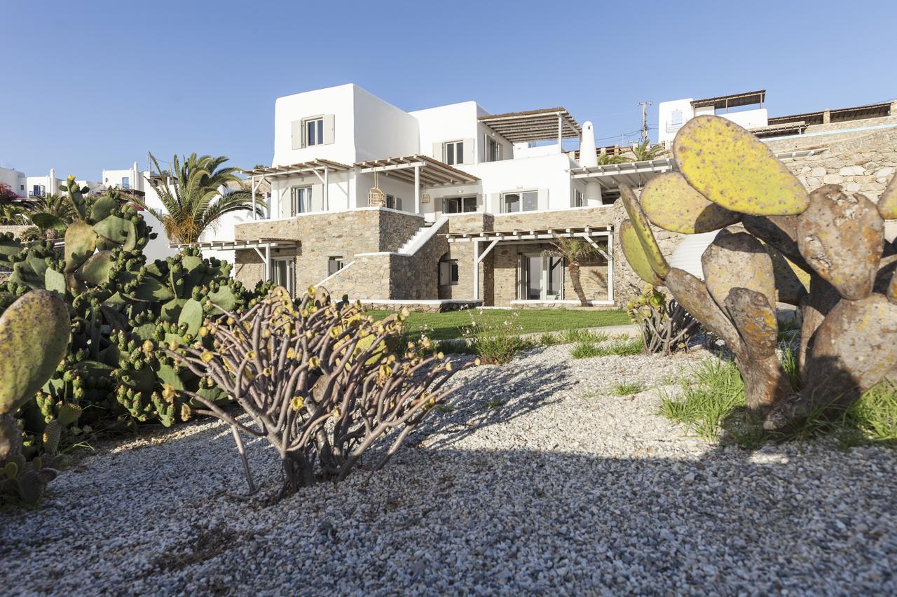 Amorous Luxury Villa Agios Ioannis Diakoftis Экстерьер фото